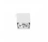 Plafonniers Faro TECTO Plafonniers blancs 1xAR111 50W