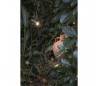 Eclairage extérieur piquets Faro SETH-60 piquet noirs LED 6W 2700K H60CMS