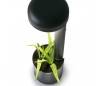 Eclairage extérieur Balises Faro GROW Balises grises foncé LED 9W 3000K 50 CM