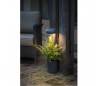 Eclairage extérieur Faro pot pour GROW