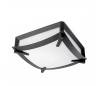 Plafonniers MARK 2 x E27 MAX. 60W gris foncé Leds C4