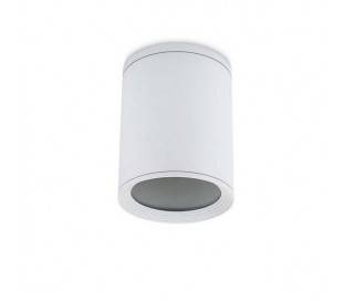 Plafonniers COS chrome 1 x E27/PAR-30 MAX 75W blancs Leds C4