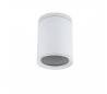 Plafonniers COS chrome 1 x E27/PAR-30 MAX 75W blancs Leds C4