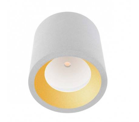 Plafonniers COSchromeS 1 x LED CREE 12W blancs Leds C4