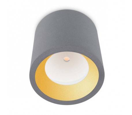 Plafonniers COSchromeS 1 x LED CREE 12W gris Leds C4