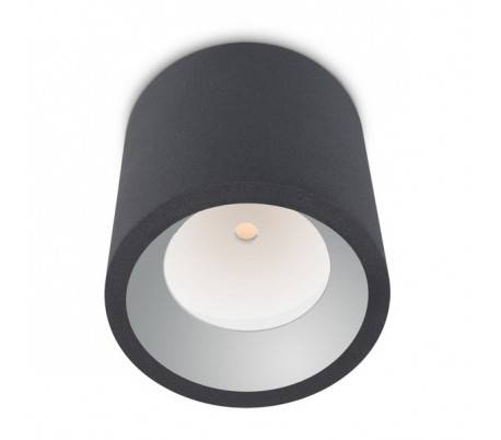 Plafonniers COSchromeS 1 x LED CREE 12W gris foncé Leds C4