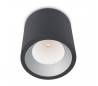Plafonniers COSchromeS 1 x LED CREE 12W gris foncé Leds C4