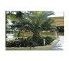 Balise de jardin FIONA IP65 26W G24 q3 Inox