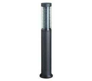Balise de jardin MAXIMA-PLUS IP55 24W 2G11 Transparent anthracite