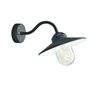 Appliques extérieures BRIXEN IP55 E27 60W Transparent Noir