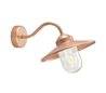 Appliques extérieures BRIXEN IP55 E27 60W Transparent cuivre