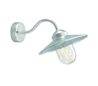 Appliques extérieures BRIXEN IP55 E27 60W Transparent Zincato