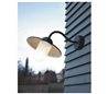 Appliques extérieures BRIXEN IP55 E27 60W Transparent Zincato