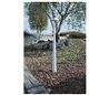 Balise de jardin CLAU IP55 LED 5W 240lm Aluminium anodisé