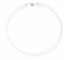 Boîte 10 tubes fluorescents T5 circulaires 22W 4200K