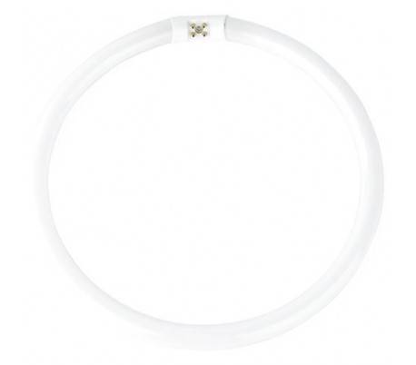 Boîte 10 tubes fluorescents T5 circulaires 55W 4200K