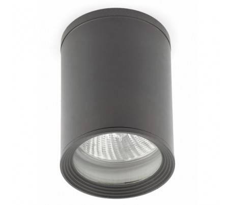 PAR30 toit Plafonnier aluminium injecté gris foncé - TASA