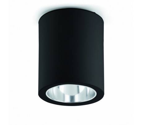 Surface de la plaque d'aluminium pour ras-1 E27 intérieur noir