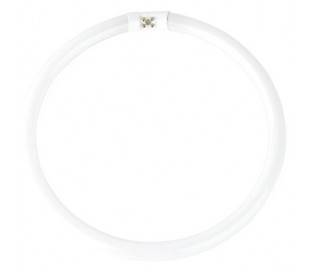 Fluorescent circulaire 55W T5 4200K