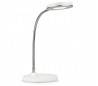 TOM bureau métallique intérieur lampe LED blanche